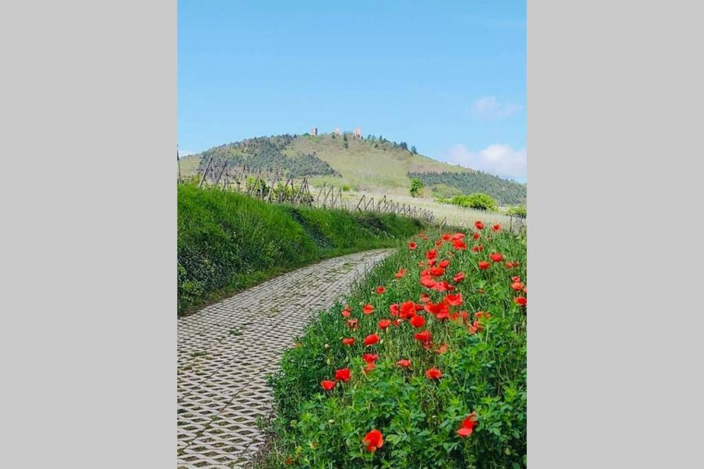 Gite A Eguisheim Proche De Colmar Et Kaysergberg. ภายนอก รูปภาพ