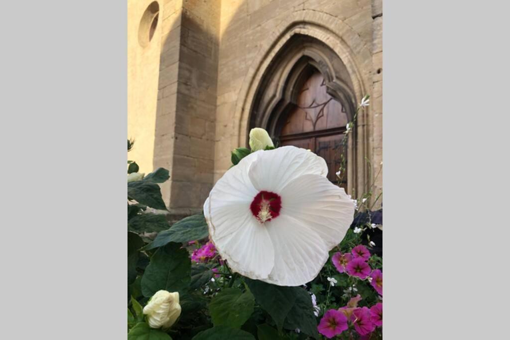 Gite A Eguisheim Proche De Colmar Et Kaysergberg. ภายนอก รูปภาพ