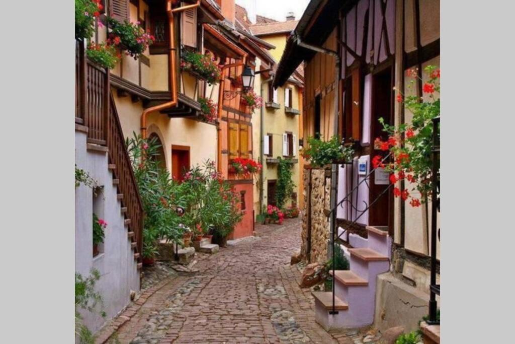 Gite A Eguisheim Proche De Colmar Et Kaysergberg. ภายนอก รูปภาพ