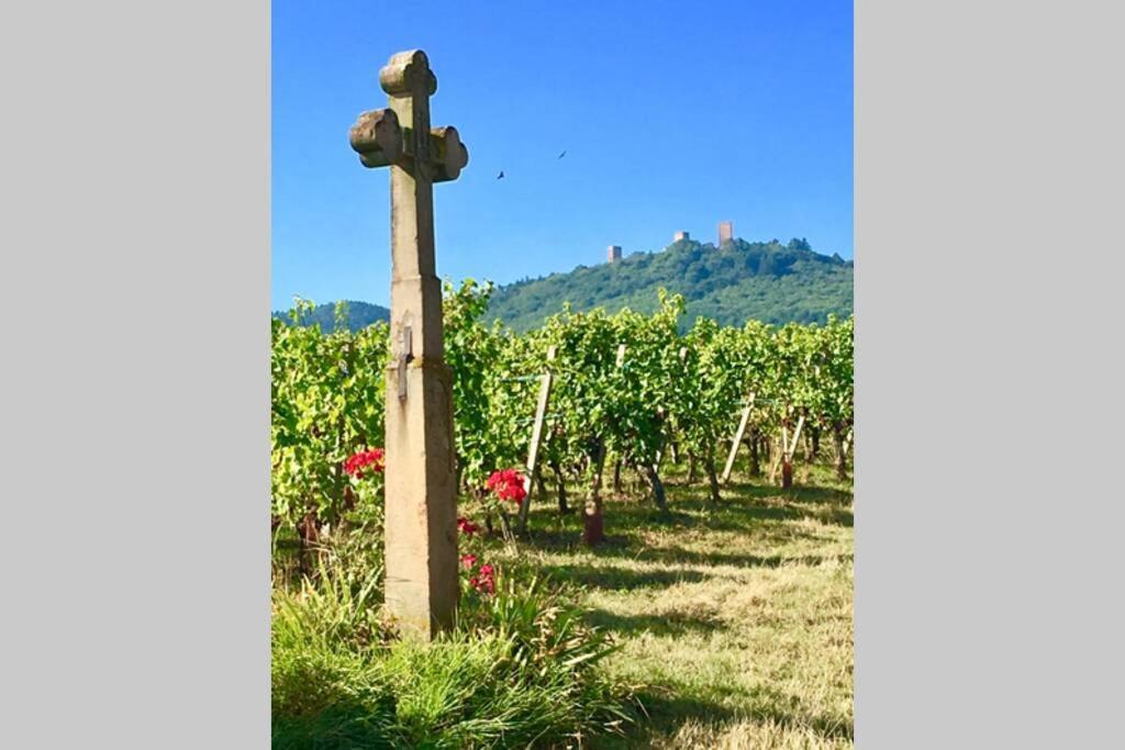 Gite A Eguisheim Proche De Colmar Et Kaysergberg. ภายนอก รูปภาพ